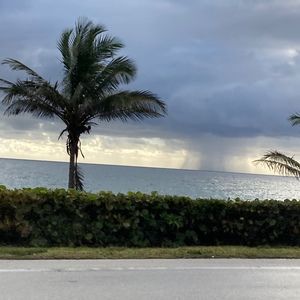 Meet your Posher, Terrell